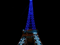 Paris 12-26-09 image 40